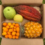Ready-to-Eat Tropical Fruit Box