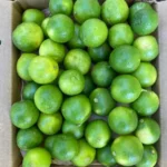 Key Lime