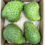 Premium Soursop (Guanabana)