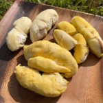 Durian Variety Pack - 3 Trays (Musang King, D101, & Puyat)