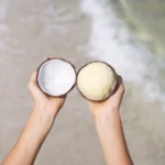 Sprouted Coconut *Pre-Order*